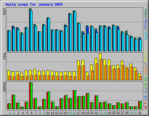 Daily usage for January 2022