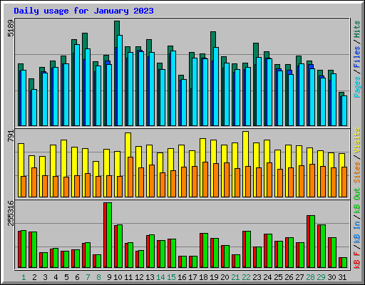 Daily usage for January 2023