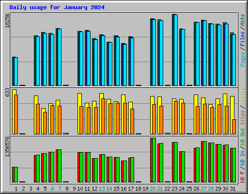 Daily usage for January 2024