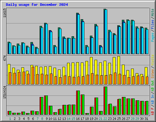 Daily usage for December 2024