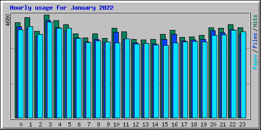 Hourly usage for January 2022