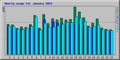 Hourly usage for January 2023