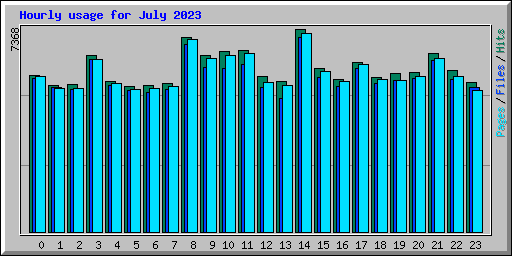 Hourly usage for July 2023