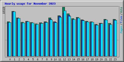 Hourly usage for November 2023