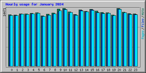 Hourly usage for January 2024