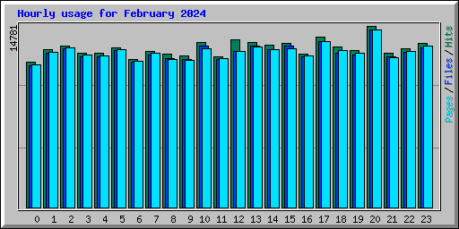 Hourly usage for February 2024