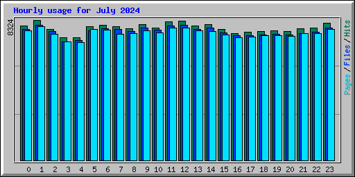 Hourly usage for July 2024
