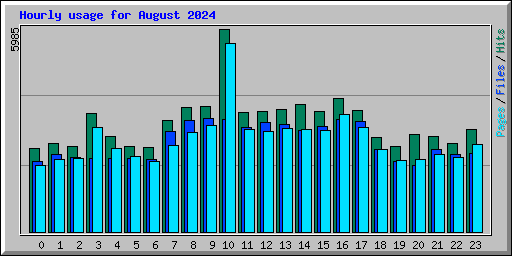 Hourly usage for August 2024