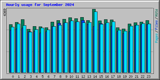 Hourly usage for September 2024