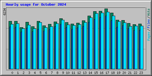 Hourly usage for October 2024