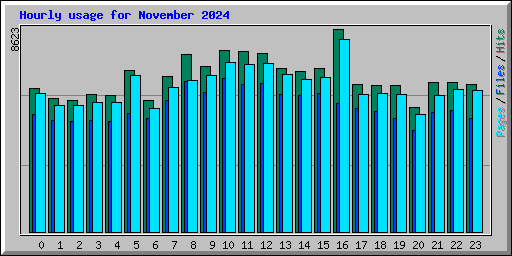 Hourly usage for November 2024