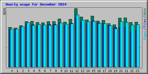 Hourly usage for December 2024