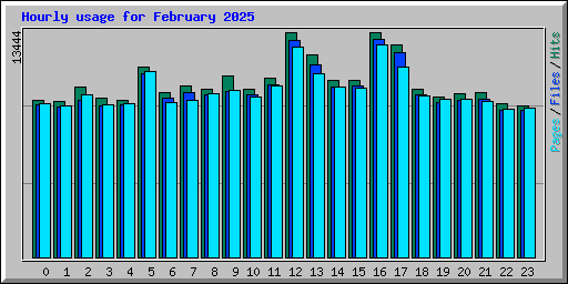 Hourly usage for February 2025
