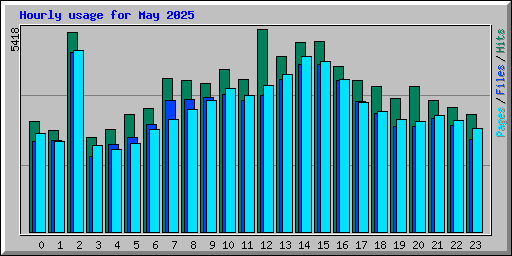 Hourly usage for May 2025