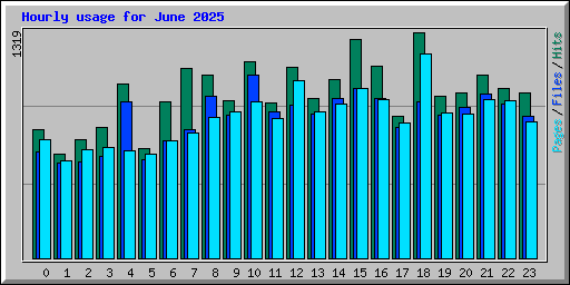 Hourly usage for June 2025