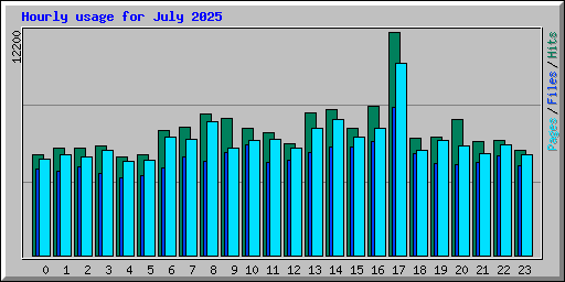 Hourly usage for July 2025
