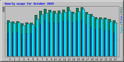 Hourly usage for October 2025