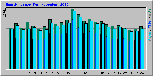 Hourly usage for November 2025