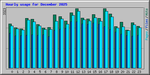 Hourly usage for December 2025