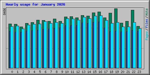 Hourly usage for January 2026